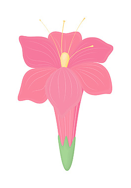 粉红色雏菊设计节