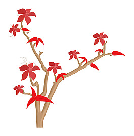紅色的秋花枝