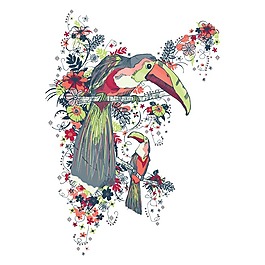 印花矢量圖 T恤圖案 動(dòng)物 巨嘴鳥 花紋 免費(fèi)素材