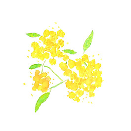 位圖 植物 寫(xiě)意花卉 花朵 免費(fèi)素材