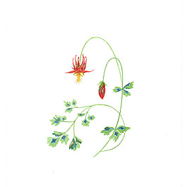 位圖 植物 寫(xiě)意花卉 花朵 免費(fèi)素材
