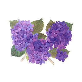 位圖 植物 寫意花卉 花朵 免費(fèi)素材