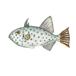 位圖 插畫 動(dòng)物插畫 藝術(shù)效果 手繪 免費(fèi)素材