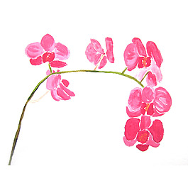 位圖 植物 寫意花卉 花朵 蘭花 免費(fèi)素材