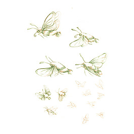 位圖 插畫 動(dòng)物插畫 藝術(shù)效果 手繪 免費(fèi)素材