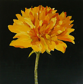 位圖 植物 寫實花卉 花朵 藝術(shù)效果 免費素材