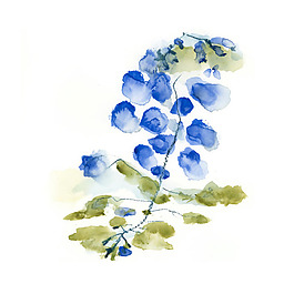 位圖 植物 寫意花卉 花朵 免費素材