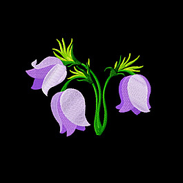 繡花 植物 花朵 免費(fèi)素材