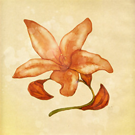 位圖 植物 寫(xiě)意花卉 花朵 百合 免費(fèi)素材