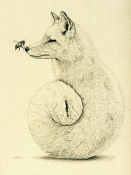 位圖 插畫 動物插畫 藝術(shù)效果 手繪 免費素材