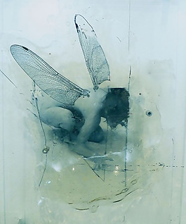 位圖 插畫 時(shí)尚插畫 人物插畫 藝術(shù)效果 免費(fèi)素材