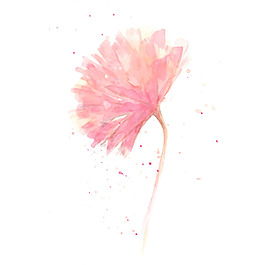 位圖 植物 寫(xiě)意花卉 花朵 免費(fèi)素材