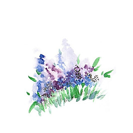 位圖 植物 寫意花卉 花朵 免費素材