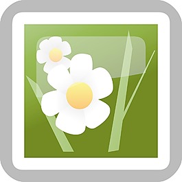 照片的小應(yīng)用程序圖標(biāo)