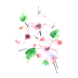 位圖 植物 寫意花卉 花朵 免費(fèi)素材
