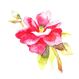 位圖 植物 寫(xiě)意花卉 花朵 免費(fèi)素材