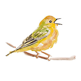 位圖 插畫 時尚插畫 動物插畫 藝術(shù)效果 免費素材