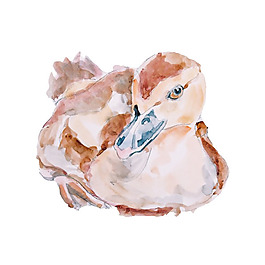 位圖 插畫(huà) 時(shí)尚插畫(huà) 動(dòng)物插畫(huà) 藝術(shù)效果 免費(fèi)素材