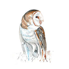 位圖 插畫 時(shí)尚插畫 動(dòng)物插畫 藝術(shù)效果 免費(fèi)素材