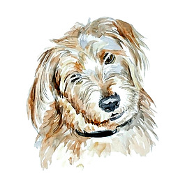 位圖 插畫 時尚插畫 動物插畫 藝術(shù)效果 免費素材
