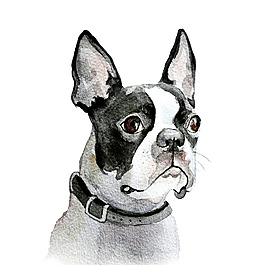 位圖 插畫 時尚插畫 動物插畫 藝術(shù)效果 免費素材