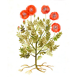 位圖 植物 寫(xiě)意花卉 花朵 免費(fèi)素材