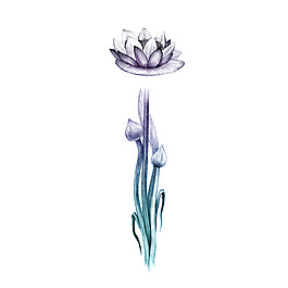 位圖 插畫 時尚插畫 植物插畫 插畫師 免費素材