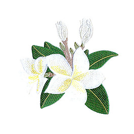 繡花 植物 花朵 免費(fèi)素材