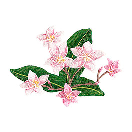 繡花 植物 花朵 免費素材