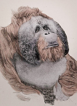 位圖 插畫 時尚插畫 插畫師 免費素材