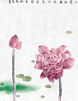 位圖 植物 葉子 花朵 荷花 免費(fèi)素材