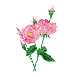 繡花 植物 花朵 免費素材