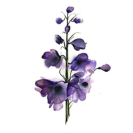 位圖 植物 寫意花卉 花朵 免費(fèi)素材