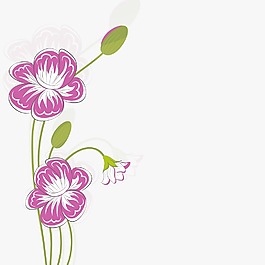 美麗的花卉背景