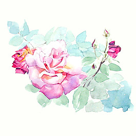 位圖 植物 寫意花卉 花朵 牡丹 免費(fèi)素材