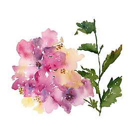 位圖 植物 寫意花卉 花朵 牡丹 免費(fèi)素材