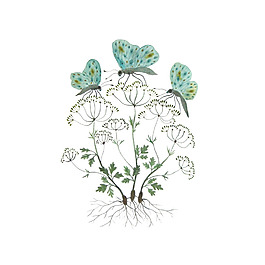 位圖 插畫 植物插畫 插畫師 Gollybard 免費(fèi)素材