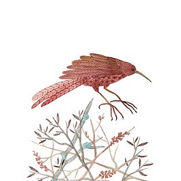 位圖 插畫 時(shí)尚插畫 插畫師 Gollybard 免費(fèi)素材