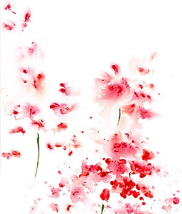 位圖 植物 寫意花卉 花朵 野花 免費素材