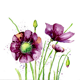 位圖 植物 寫意花卉 花朵 菊花 免費素材
