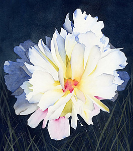 位圖 植物 寫意花卉 花朵 野花 免費(fèi)素材