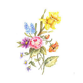 位圖 植物 寫意花卉 花朵 百合 免費素材