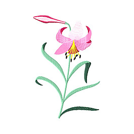 繡花 植物 花朵 免費(fèi)素材