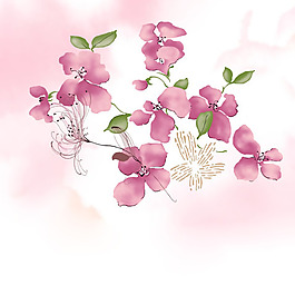 位圖 植物 寫意花卉 花朵 蘭花 免費(fèi)素材