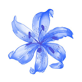 位圖 植物 寫意花卉 花朵 百合 免費素材