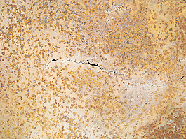 worn_texture