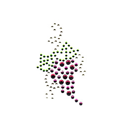 燙鉆 植物 葡萄 免費素材