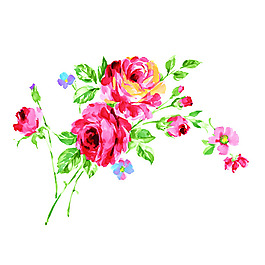 位圖 植物 寫意花卉 花朵 牡丹 免費(fèi)素材