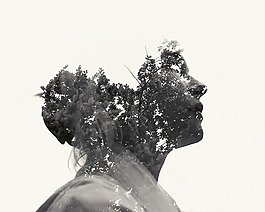 位圖 插畫 植物插畫 插畫師 Christoffer 免費素材