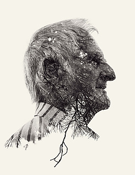 位圖 插畫 植物插畫 插畫師 Christoffer 免費素材